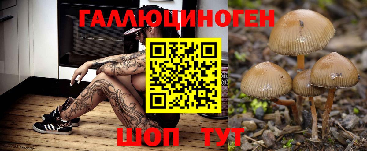 Галлюциногенные грибы прущие грибы Кувандык